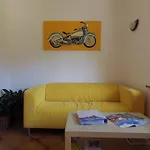 Panorama Guest house